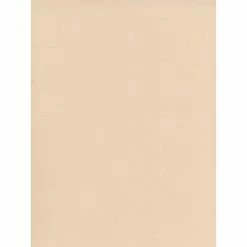 Outlet 🔔 Craft Papers Canson Mi-Teintes Tinted Paper Egg Shell 19 In. X 25 In. [Pack Of 10] ❤️