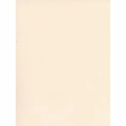 Cheapest 🛒 Craft Papers Canson Mi-Teintes Tinted Paper Lily 19 In. X 25 In. [Pack Of 10] ✔️