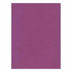Buy 🧨 Art Paper & Rolls Canson Mi-Teintes Tinted Paper Violet 8.5 In. X 11 In. [Pack Of 25](PK25-100511321) 🌟