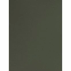 Best Pirce ❤️ Craft Papers Canson Mi-Teintes Tinted Paper Ivy 19 In. X 25 In. [Pack Of 10] 🛒