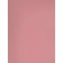 Buy 💯 Craft Papers Canson Mi-Teintes Tinted Paper Orchid 19 In. X 25 In. [Pack Of 10] ⌛