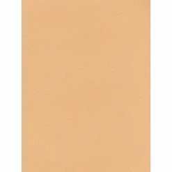 Budget ❤️ Craft Papers Canson Mi-Teintes Tinted Paper Green 8.5 In. X 11 In. [Pack Of 25] 🔔