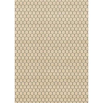 Cheapest 🧨 Art Paper & Rolls Teacher Created Resources Better Than Paper Bulletin Board Paper Roll, Chicken Wire, 4-Pack (TCR32358) 🛒