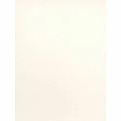 Best Pirce 🔥 Craft Papers Canson Bristol Smooth Art Board 16 In. X 20 In. [Pack Of 5] (5PK-100510179) 💯