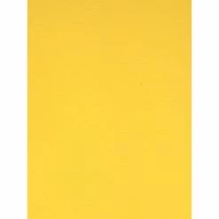 Best Pirce 🛒 Craft Papers Canson Colorline 19In X 25In Canary Yellow 300 Gsm Heavyweight Paper Sheets, 10/Pack (60436-Pk10) ⌛