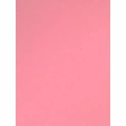 Brand new ⭐ Craft Papers Canson Colorline Heavyweight Paper Sheets 19" X 25" Rose Petal 300 Gsm Pack Of 10 (60444-Pk10) ✨